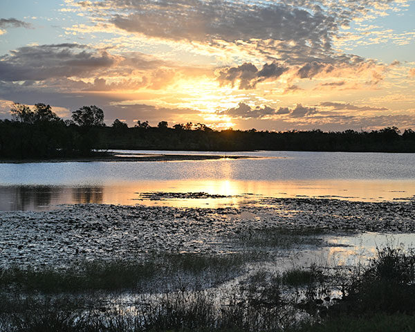 Charleston Dam Forsayth