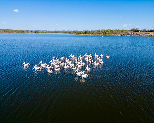 Charleston Dam Forsayth